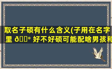 取名子硕有什么含义(子用在名字里 💮 好不好硕可能配啥男孩和女孩)